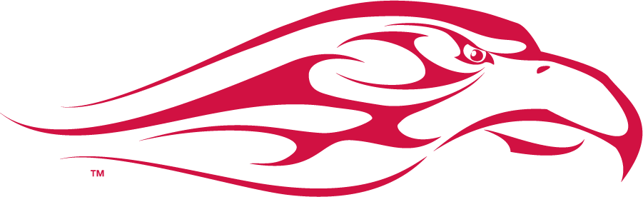 Liberty Flames 2003-2013 Secondary Logo t shirts iron on transfers